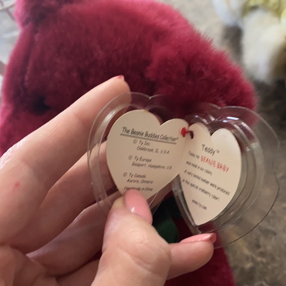 Ty baby “Teddy” - Picture 5 of 5